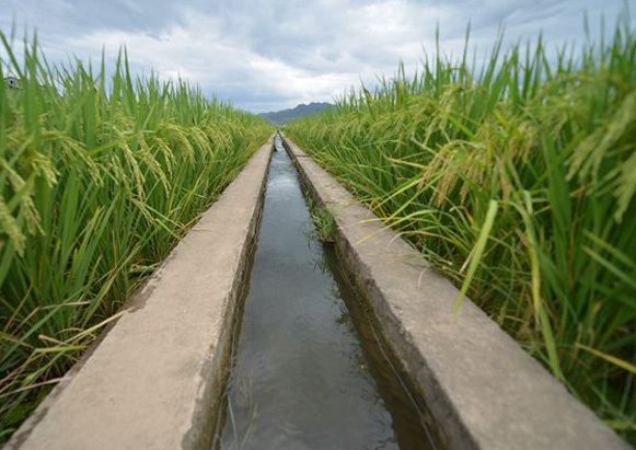 �r(n��ng)����